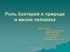Роль бактерий в природе и жизни человека