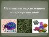 Механизмы персистенции микроорганизмов