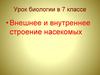 Внешнее и внутреннее строение насекомых. 7 класс