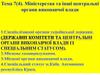 Міністерства та інші центральні органи виконавчої влади