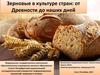 Зерновые в культуре стран: от Древности до наших дней