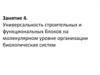 Универсальность строительных и функциональных блоков на молекулярном уровне организации биологических систем