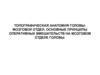 Топографическая анатомия головы: мозговой отдел. Основные принципы оперативных вмешательств на мозговом отделе головы