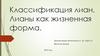 Классификация лиан. Лианы как жизненная форма