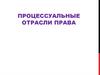 Процессуальные отрасли права