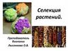 Селекция растений