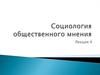 Социология общественного мнения. Формирование общественного мнения. Лекция 4