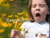 Алергозы. Этиология и патогенез