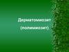 Дерматомиозит (полимиозит)