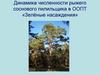 Динамика численности рыжего соснового пилильщика