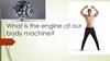 What is the engine of our body machine