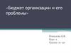 Бюджет организации и его проблемы