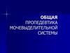 Общая пропедевтика мочевыделительной системы