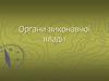 Органи виконавчої влади