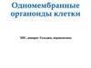 Одномембранные органоиды клетки
