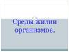 Среды жизни организмов