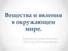 Вещества и явления в окружающем мире