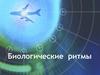 Адаптивные биологические ритмы жизнедеятельности организмов