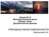 Природные риски современности. Метеорологические риски: торнадо, грозы. Документальные фильмы