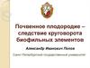 Почвенное плодородие – следствие круговорота биофильных элементов