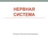 Нервная система