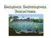 Сообщество, экосистема, биогеоценоз