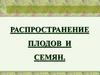 Способы распространения плодов и семян растений