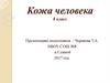 Кожа человека. 8 класс