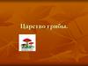 Царство грибы. Строение грибов