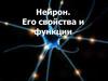 Нейрон. Его свойства и функции
