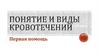 Понятие и виды кровотечений. Первая помощь