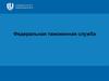 Федеральная таможенная служба