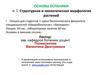 Структурная и экологическая морфология растений. Часть 1