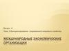 Функционирование современного мирового хозяйства. Международные экономические организации