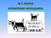 Кормление молодняка и коров