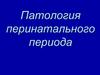Патология перинатального периода
