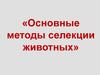 Основные методы селекции животных