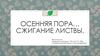 Осенняя пора. Сжигание листвы. (Погорелова В.А.)