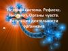 Нерная система. Инстинкт. Органы чувств. Регуляция деятельности организма