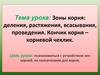 Зоны корня: деления, растяжения, всасывания, проведения. Кончик корня – корневой чехлик