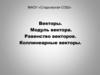 Векторы. Модуль вектора. Равенство векторов. Коллинеарные векторы