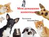 Мои домашние животные