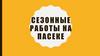 Сезонные работы на пасеке