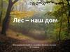 Лес – наш дом. Интегрированный урок по географии, биологии, экологии 10-11 классы