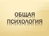 Общая психология