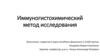 Иммуногистохимический метод исследования