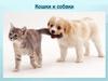 Кошки и собаки