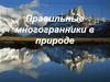 Правильные многогранники в природе