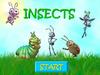 Insects. Game