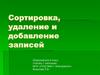 Сортировка, удаление и добавление записей. 9 класс